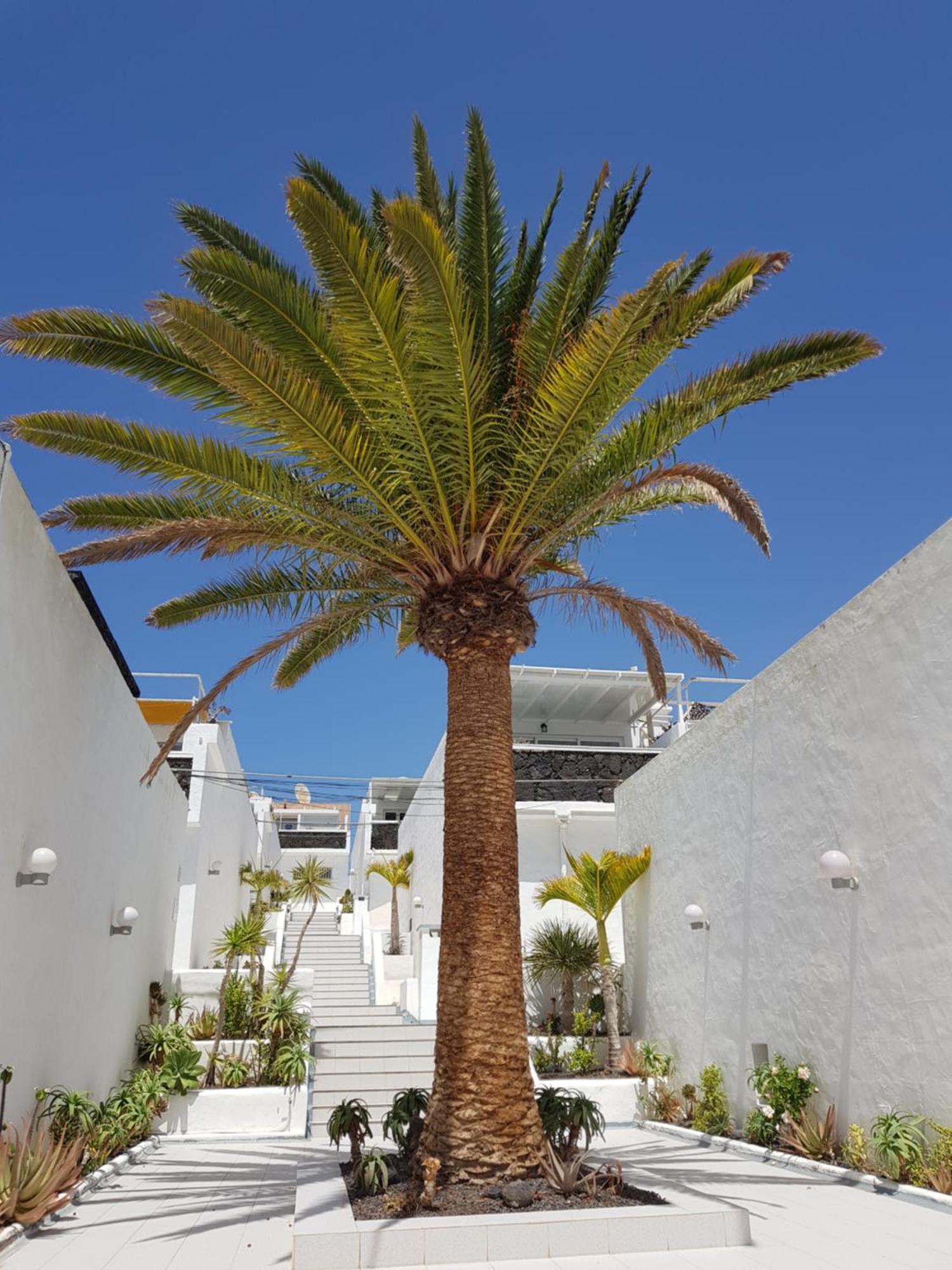 Stunning 2 Bedroom Duplex Close To Main Beach With Seaviews Puerto del Carmen (Lanzarote) Exterior foto
